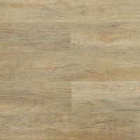 ld1609_dub_paduanskiy_1