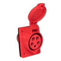 276490_big_1608623455-800x800