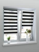 mini_zebra_45_0076-832x1100