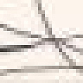 Vela
